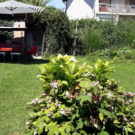 Campingplatz Under Walnut, With Your Own Tent, With Shared Bathroom